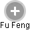 Fu Feng - Vizualizace  propojení osoby a firem v obchodním rejstříku