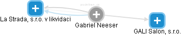Gabriel Neeser - Vizualizace  propojení osoby a firem v obchodním rejstříku