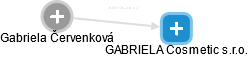  Gabriela Č. - Vizualizace  propojení osoby a firem v obchodním rejstříku