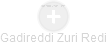Gadireddi Zuri Redi - Vizualizace  propojení osoby a firem v obchodním rejstříku