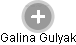 Galina Gulyak - Vizualizace  propojení osoby a firem v obchodním rejstříku
