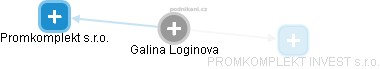 Galina Loginova - Vizualizace  propojení osoby a firem v obchodním rejstříku