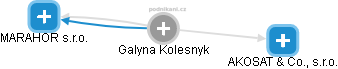 Galyna Kolesnyk - Vizualizace  propojení osoby a firem v obchodním rejstříku