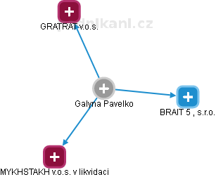 Galyna Pavelko - Vizualizace  propojení osoby a firem v obchodním rejstříku