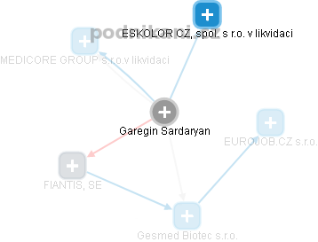  Garegin S. - Vizualizace  propojení osoby a firem v obchodním rejstříku