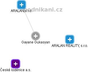  Gayane G. - Vizualizace  propojení osoby a firem v obchodním rejstříku