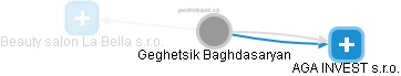 Geghetsik Baghdasaryan - Vizualizace  propojení osoby a firem v obchodním rejstříku