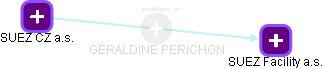 GÉRALDINE PERICHON - Vizualizace  propojení osoby a firem v obchodním rejstříku