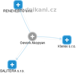 Gevork Akopyan - Vizualizace  propojení osoby a firem v obchodním rejstříku