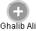 Ghalib Ali - Vizualizace  propojení osoby a firem v obchodním rejstříku