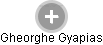 Gheorghe Gyapias - Vizualizace  propojení osoby a firem v obchodním rejstříku