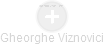Gheorghe Viznovici - Vizualizace  propojení osoby a firem v obchodním rejstříku