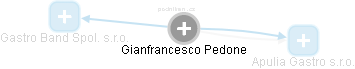 Gianfrancesco Pedone - Vizualizace  propojení osoby a firem v obchodním rejstříku