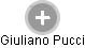  Giuliano P. - Vizualizace  propojení osoby a firem v obchodním rejstříku