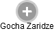 Gocha Zaridze - Vizualizace  propojení osoby a firem v obchodním rejstříku