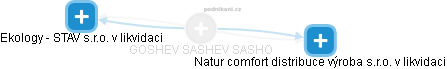 GOSHEV SASHEV SASHO - Vizualizace  propojení osoby a firem v obchodním rejstříku