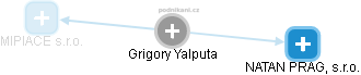 Grigory Yalputa - Vizualizace  propojení osoby a firem v obchodním rejstříku
