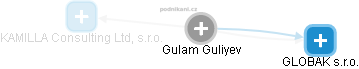 Gulam Guliyev - Vizualizace  propojení osoby a firem v obchodním rejstříku