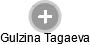 Gulzina Tagaeva - Vizualizace  propojení osoby a firem v obchodním rejstříku