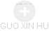 GUO XIN HU - Vizualizace  propojení osoby a firem v obchodním rejstříku