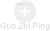 Guo Zhi Ping - Vizualizace  propojení osoby a firem v obchodním rejstříku