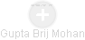 Gupta Brij Mohan - Vizualizace  propojení osoby a firem v obchodním rejstříku