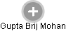 Gupta Brij Mohan - Vizualizace  propojení osoby a firem v obchodním rejstříku
