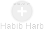  Habib H. - Vizualizace  propojení osoby a firem v obchodním rejstříku