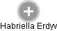 Habriella Erdyv - Vizualizace  propojení osoby a firem v obchodním rejstříku