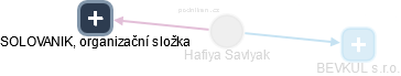 Hafiya Savlyak - Vizualizace  propojení osoby a firem v obchodním rejstříku