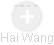Hai Wang - Vizualizace  propojení osoby a firem v obchodním rejstříku
