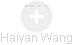 Haiyan Wang - Vizualizace  propojení osoby a firem v obchodním rejstříku