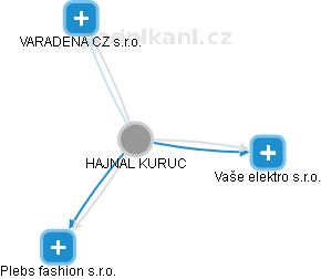HAJNAL KURUC - Vizualizace  propojení osoby a firem v obchodním rejstříku