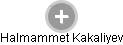 Halmammet Kakaliyev - Vizualizace  propojení osoby a firem v obchodním rejstříku