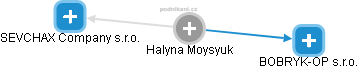 Halyna Moysyuk - Vizualizace  propojení osoby a firem v obchodním rejstříku