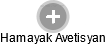  Hamayak A. - Vizualizace  propojení osoby a firem v obchodním rejstříku