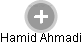Hamid Ahmadi - Vizualizace  propojení osoby a firem v obchodním rejstříku