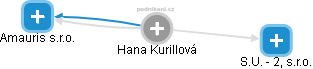 Hana Kurillová - Vizualizace  propojení osoby a firem v obchodním rejstříku