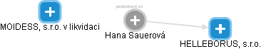 Hana Sauerová - Vizualizace  propojení osoby a firem v obchodním rejstříku