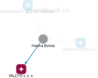 Hanna Bohey - Vizualizace  propojení osoby a firem v obchodním rejstříku
