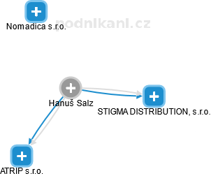  Hanuš S. - Vizualizace  propojení osoby a firem v obchodním rejstříku