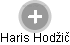 Haris Hodžič - Vizualizace  propojení osoby a firem v obchodním rejstříku