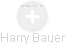 Harry Bauer - Vizualizace  propojení osoby a firem v obchodním rejstříku