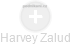 Harvey Zalud - Vizualizace  propojení osoby a firem v obchodním rejstříku