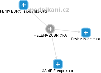  Helena Z. - Vizualizace  propojení osoby a firem v obchodním rejstříku