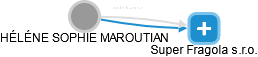 Maroutian H. - Vizualizace  propojení osoby a firem v obchodním rejstříku