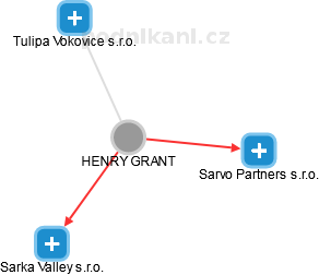 HENRY GRANT - Vizualizace  propojení osoby a firem v obchodním rejstříku