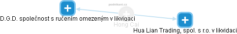  Hong C. - Vizualizace  propojení osoby a firem v obchodním rejstříku