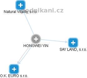  Hongwei Y. - Vizualizace  propojení osoby a firem v obchodním rejstříku