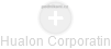 Hualon Corporatin - Vizualizace  propojení osoby a firem v obchodním rejstříku